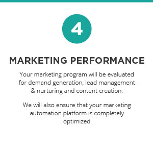 Marketing Performance